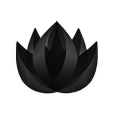 Black Lotus Ventures